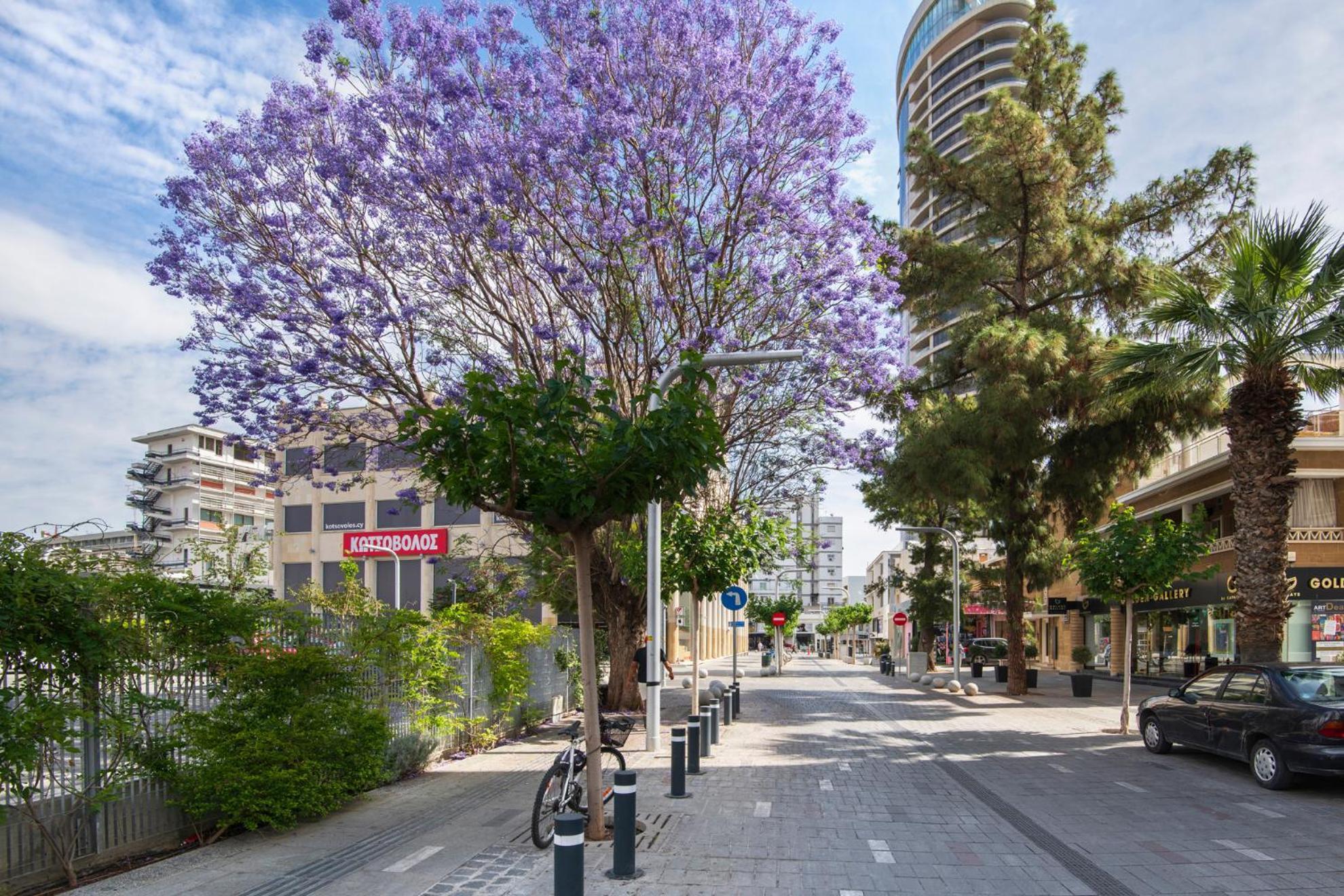 Urban Condo 12 - 2 Bdr Nicosia Eksteriør billede